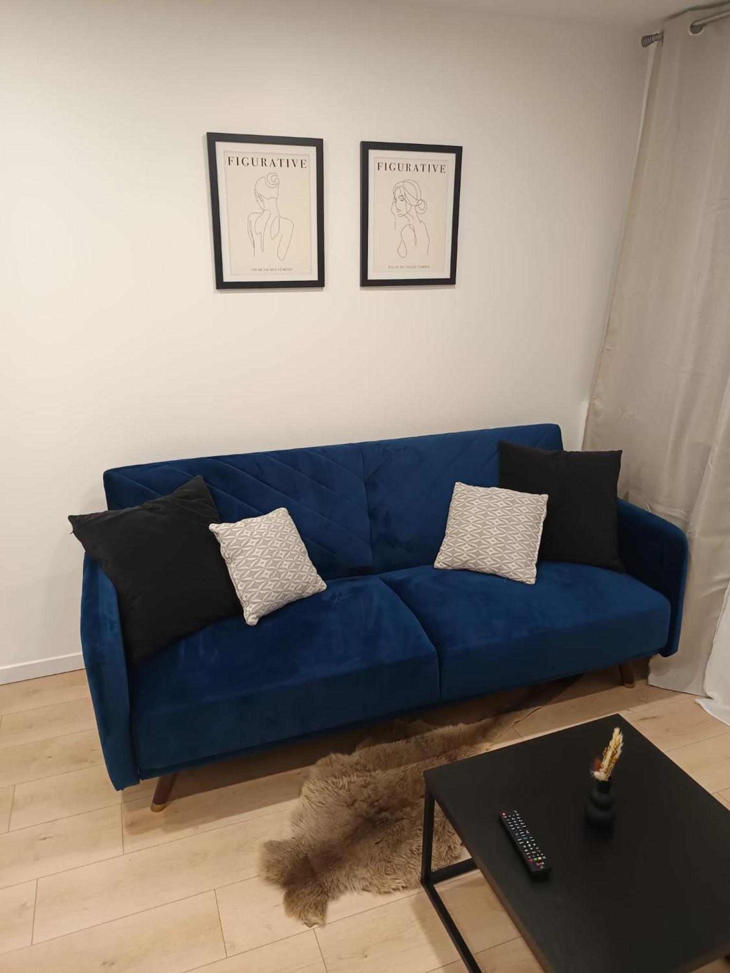Superbe Appartement ! Saint-Etienne  Bagian luar foto